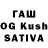 ГАШ гарик ssak wodny