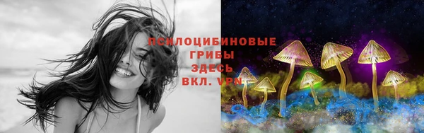 крисы Балахна