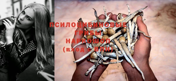 крисы Балахна